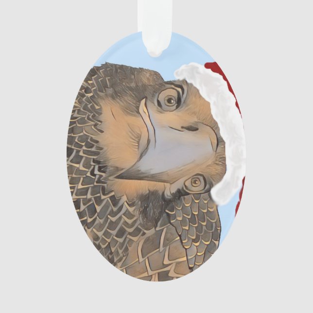 Aigle Bald SWFL Qui Est Ce Beau Aigle, E9 (devant)