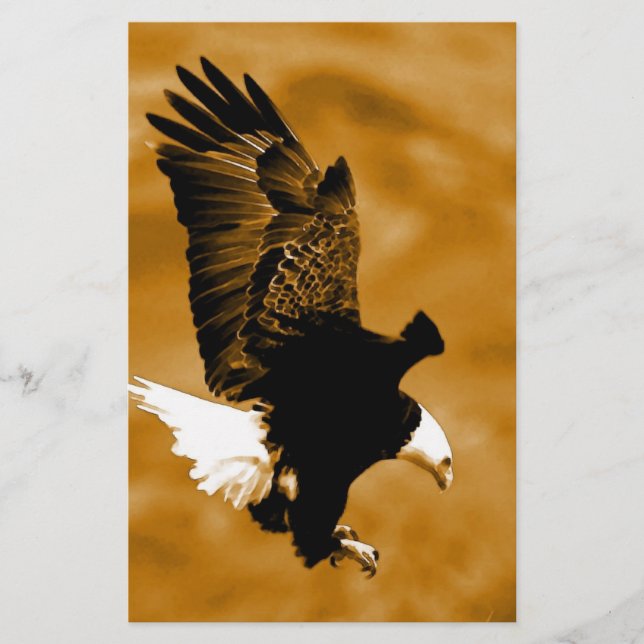 Aigle d'Amérique (Devant)