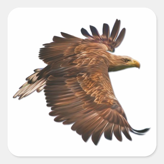 Aigle dans le jeu de stickers Carré (Devant)