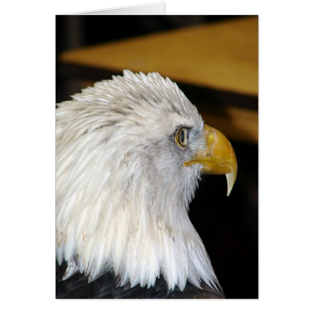 Aigle de Bald (Devant)