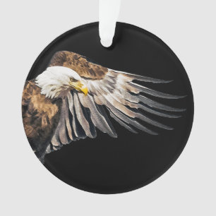 Aigle de Bald sur l'aile