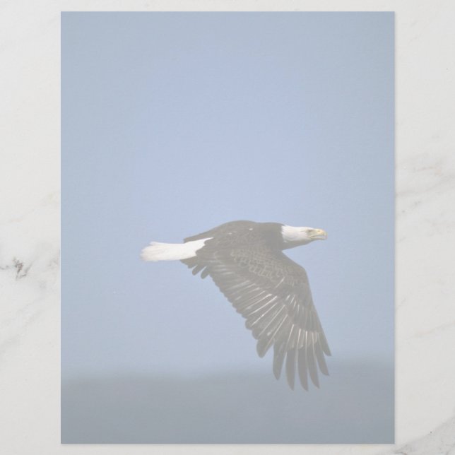 Aigle de Bald volant à travers l'horizon (Devant)