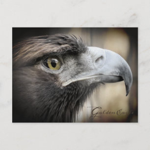 Aigle d'or : Carte postale