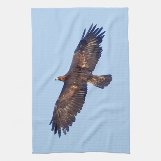 Aigle d'or dans la serviette de cuisine en vol (Vertical)