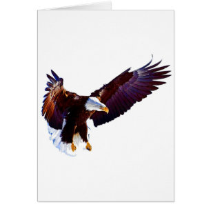 Aigle en vol