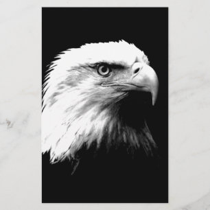 Aigle noir et blanc