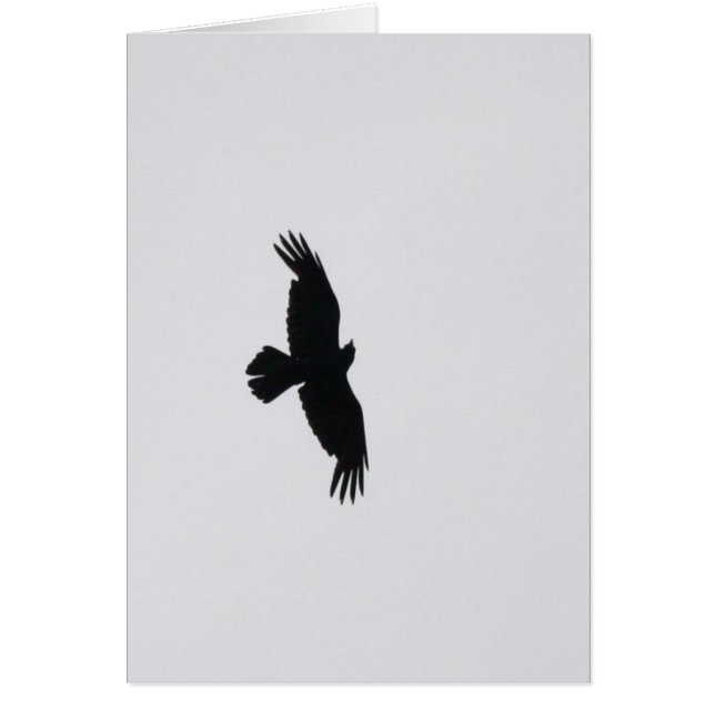 Aigle S'envole (Devant)