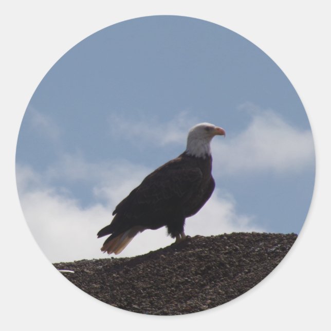 Aigle sur les autocollants à haute altitude (Devant)