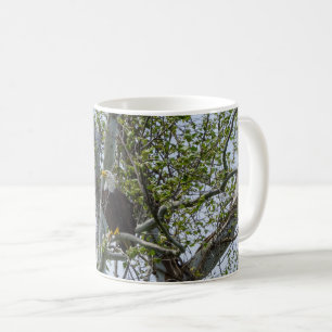 Aigle Surveillez La Mug De Café