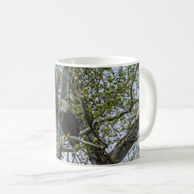 Aigle Surveillez La Mug De Café (Devant droit)