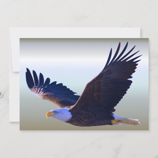 Aigle volant (Devant)