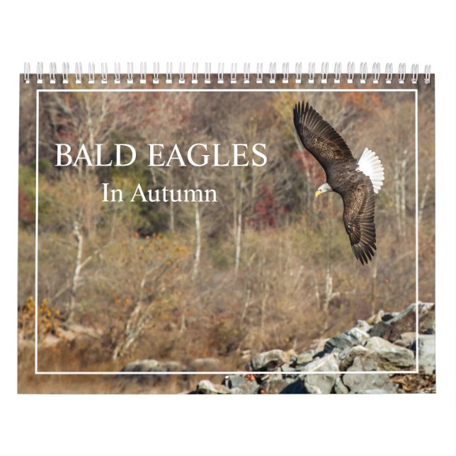 Aigles Balles Dans Le Calendrier Automne (Protection)
