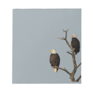 Aigles chauds du Bloc-notes Silence Wonders