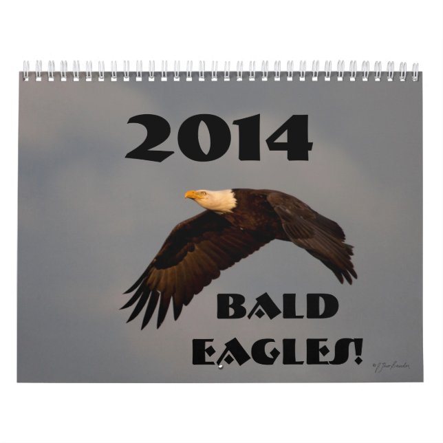 Aigles chauves 2014 de calendrier mural de faune (Protection)