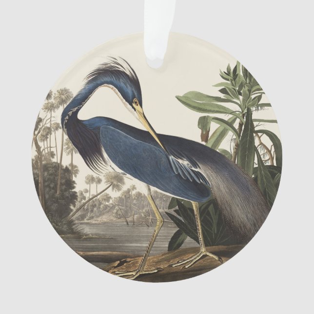 Aigrette de Louisiane, oiseau, Art vintage d'Audub (devant)