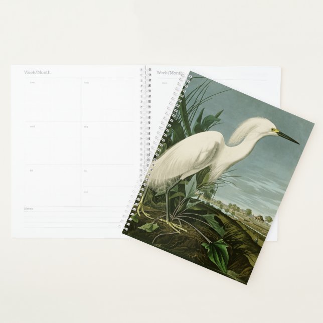 Aigrette neigeuse d'Audubon oiseau héron blanc orn (Devant avec enveloppe)