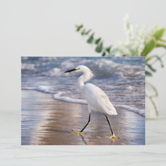 Aigrette sur carte de voeux riveraine (Debout devant)
