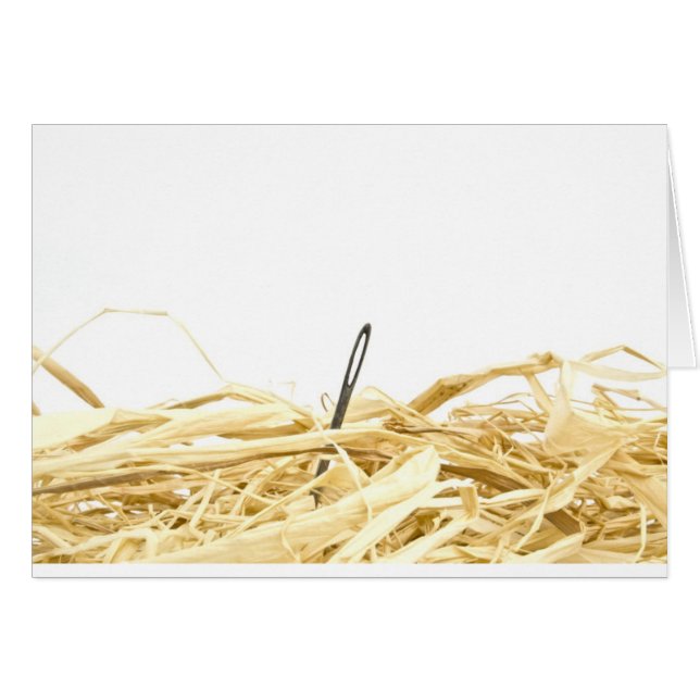 aiguille dans une botte de foin (Devant horizontal)