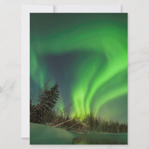 Aiguille d'épinette