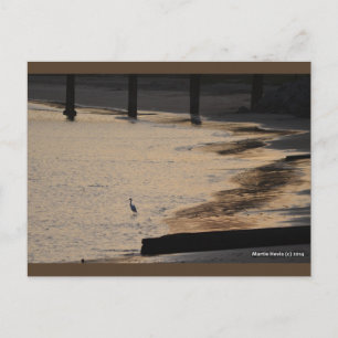 Aiguille sur la Rive II Carte postale Blue Beach