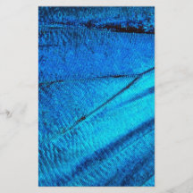 Aile de papillon bleu iridescent