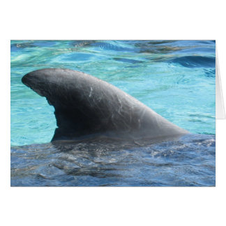 Aileron de poupée - série de TBD