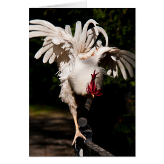 Ailes à battant de coq
