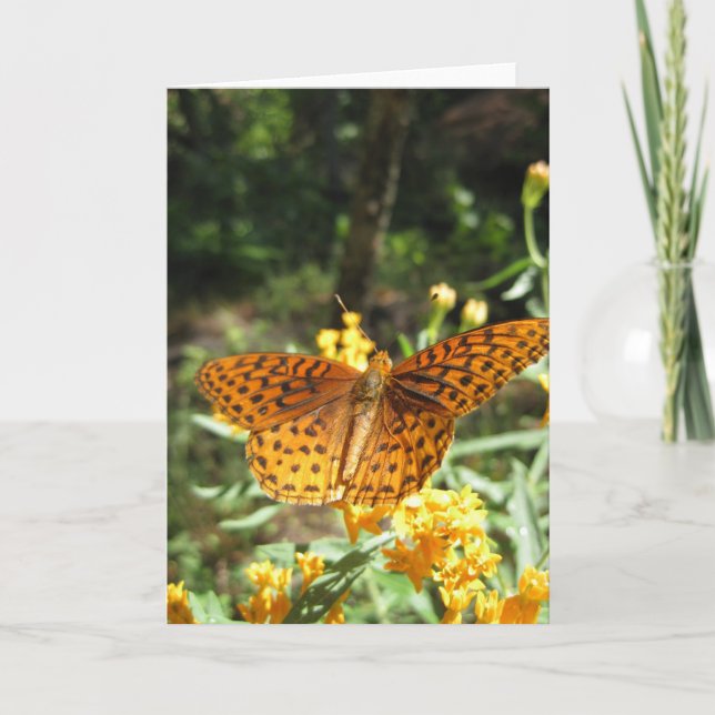 Ailes de curiosité (3) Carte de voeux (Devant)