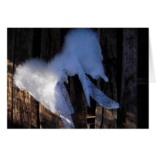 Ailes et dentelle - carte vierge (Devant horizontal)