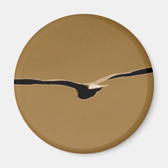 Ailes funky Magnet (Devant)