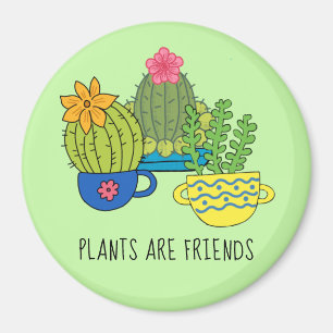 Aimable Plante Magnet Succulent