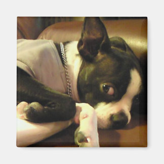 AIMANT ブチ　マグネット　角