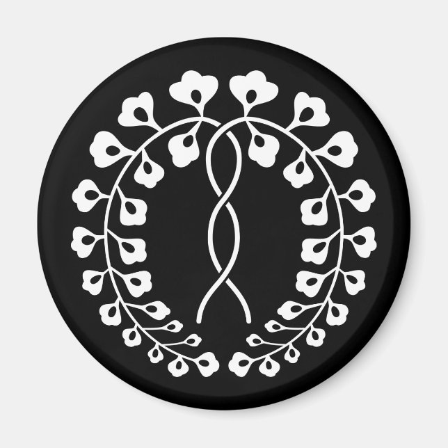 AIMANT 一条藤 (Devant)