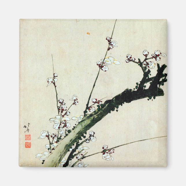 Aimant 梅 花, 北 Fleurs 斎 de prunes, Hokusai, Ukiyo-e (Devant)