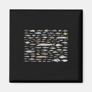 Aimant 100 Types d'espèces de poissons d'eau douce Pêche