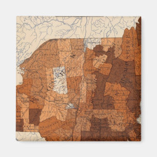 Aimant 107 Influenza NY, New England