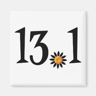 aimant 13,1