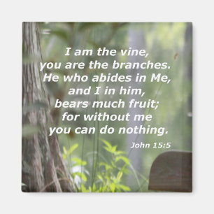 Aimant 15:5 de John