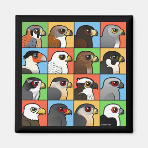 Aimant 16 Profils nord-américains de Raptor