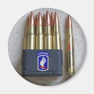 Aimant 173e ABN BDE Brigade aéroportée Soldats Sky Vets