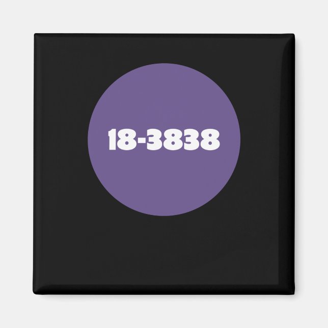 AIMANT 18-3838 (Devant)