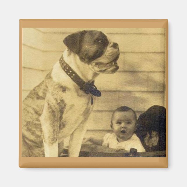 Aimant 1920s pitbull guards baby (Devant)