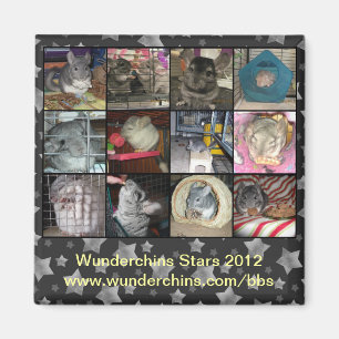 Aimant 2012 de Wunderchins