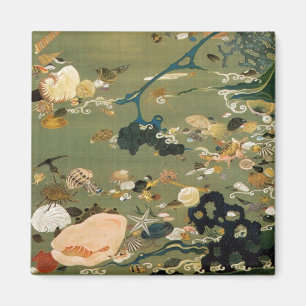 Aimant 24. 貝 甲 図, 冲 Shells, Jakuchu (Japon) Art, Jakuchu 