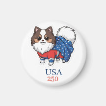 250e anniversaire des États-Unis d'Amérique