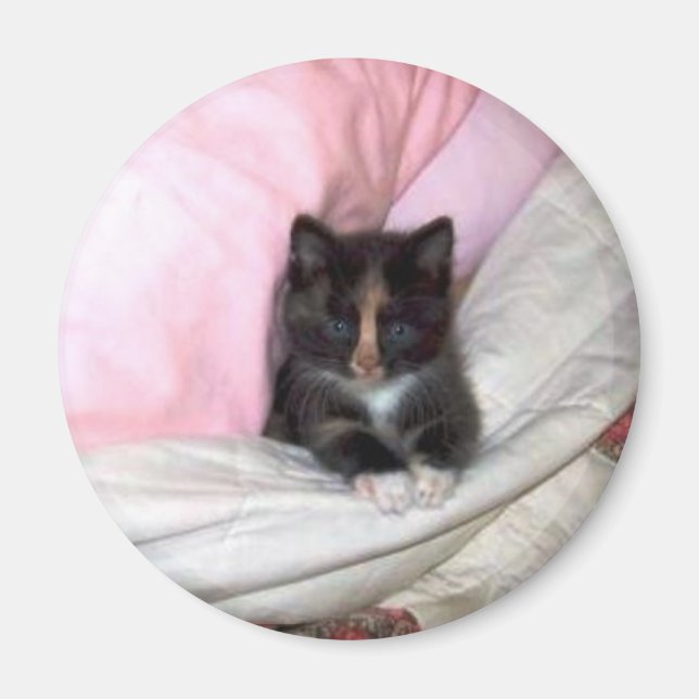 Aimant 29154_Muffin-the-Cat_620 (Devant)