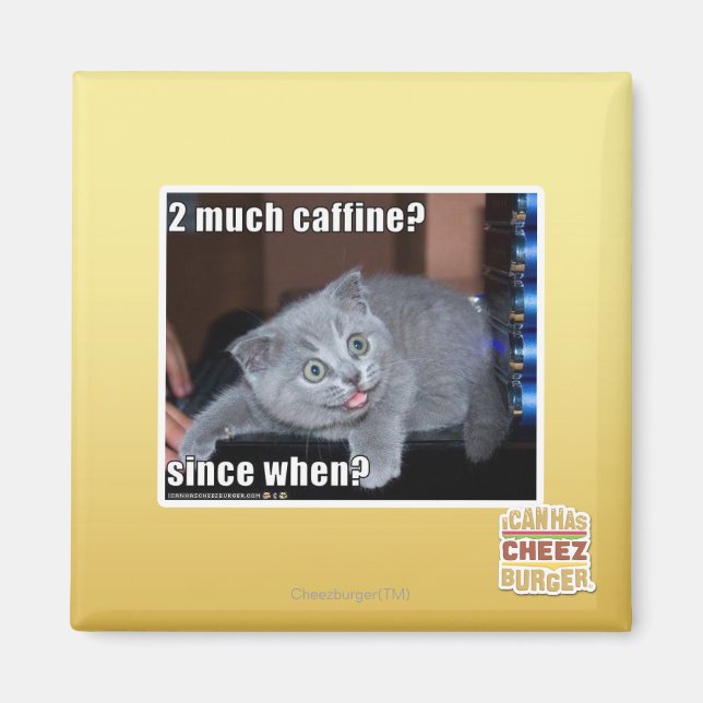 Aimant 2 beaucoup de caffine ? (Devant)