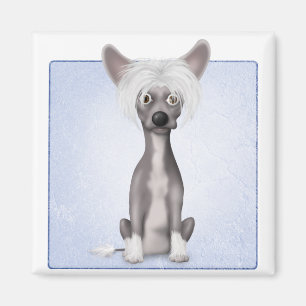 Aimant 2 crêtés chinois