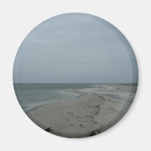 Aimant #2 d'île de dauphin