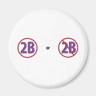 AIMANT 2B